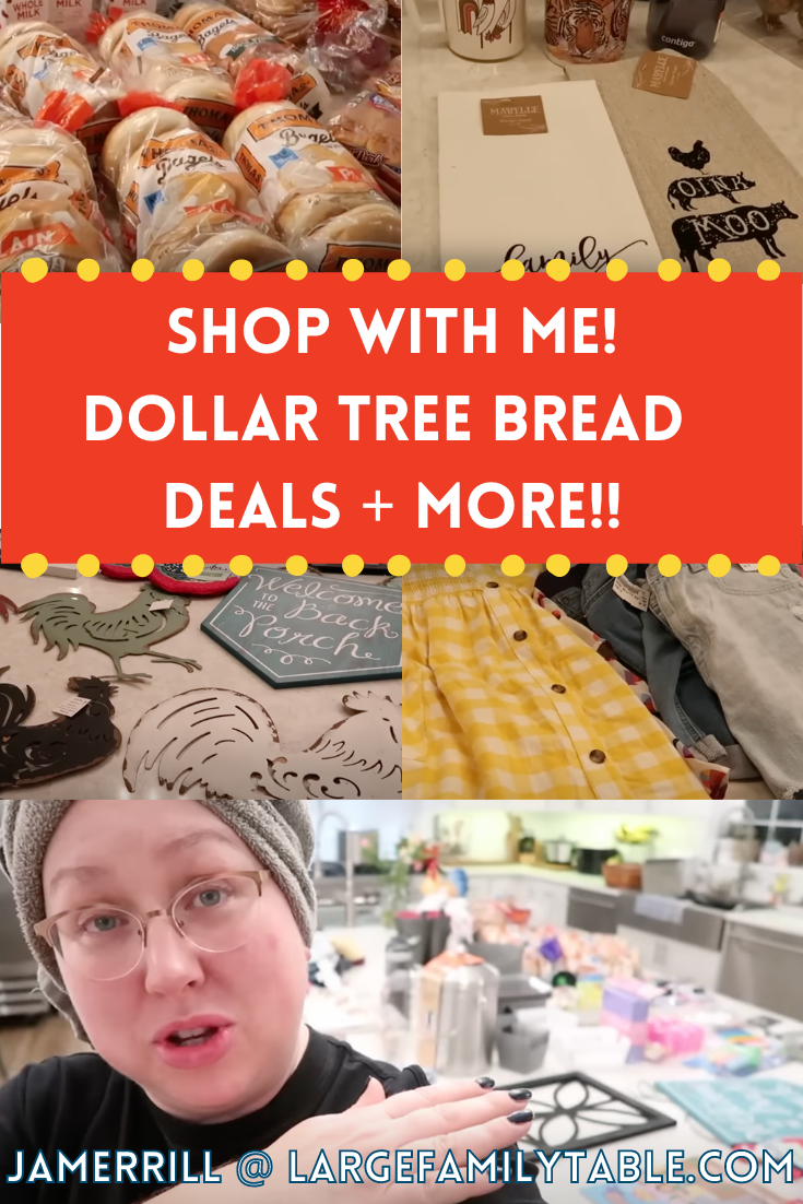 Shop with Me Dollar Tree 2023 Bread Deals + Lots!