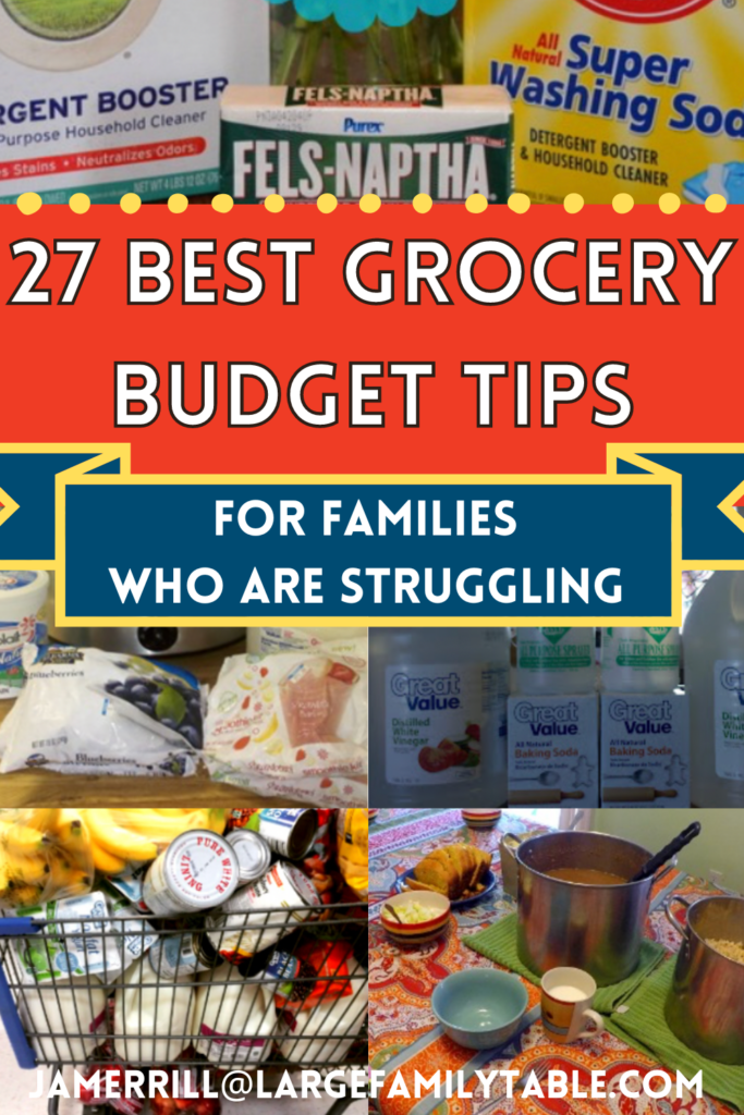 27 Best Grocery Budget Tips for Families Who Are Struggling