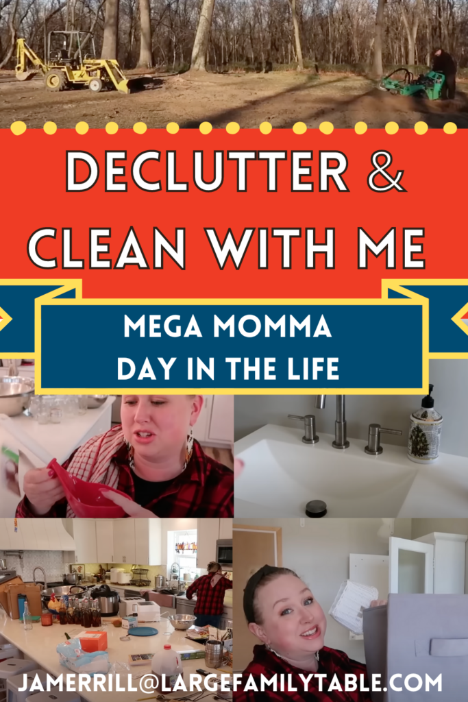 Large Family Clean & Declutter with Me!
