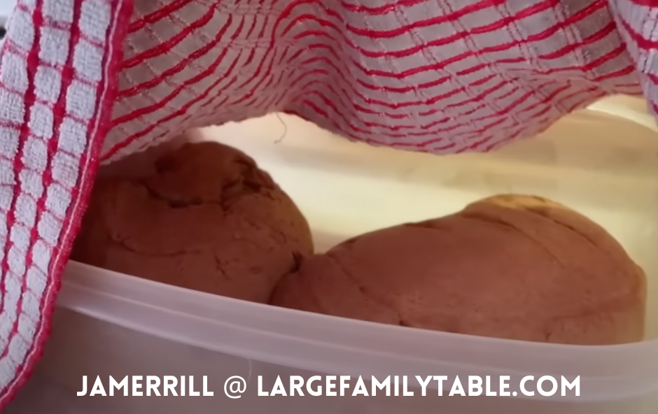 Big Batch Cooking Pizza dough in Bread Machines + Lots More Mega Momma Fun 