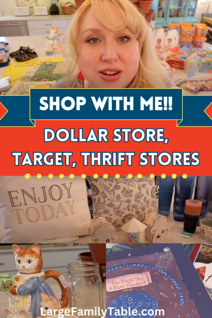 Shop with ME!! Dollar Tree and Thrift Stores Hauls Spring 2023