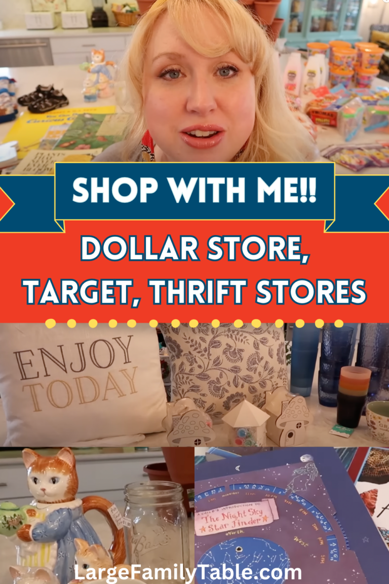 Shop with ME!! Dollar Tree and Thrift Store Haul Spring 2023 Large