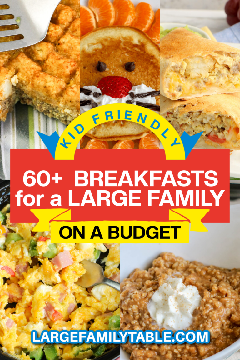 60+ KidFriendly Breakfasts for a Large Family on a Budget Large