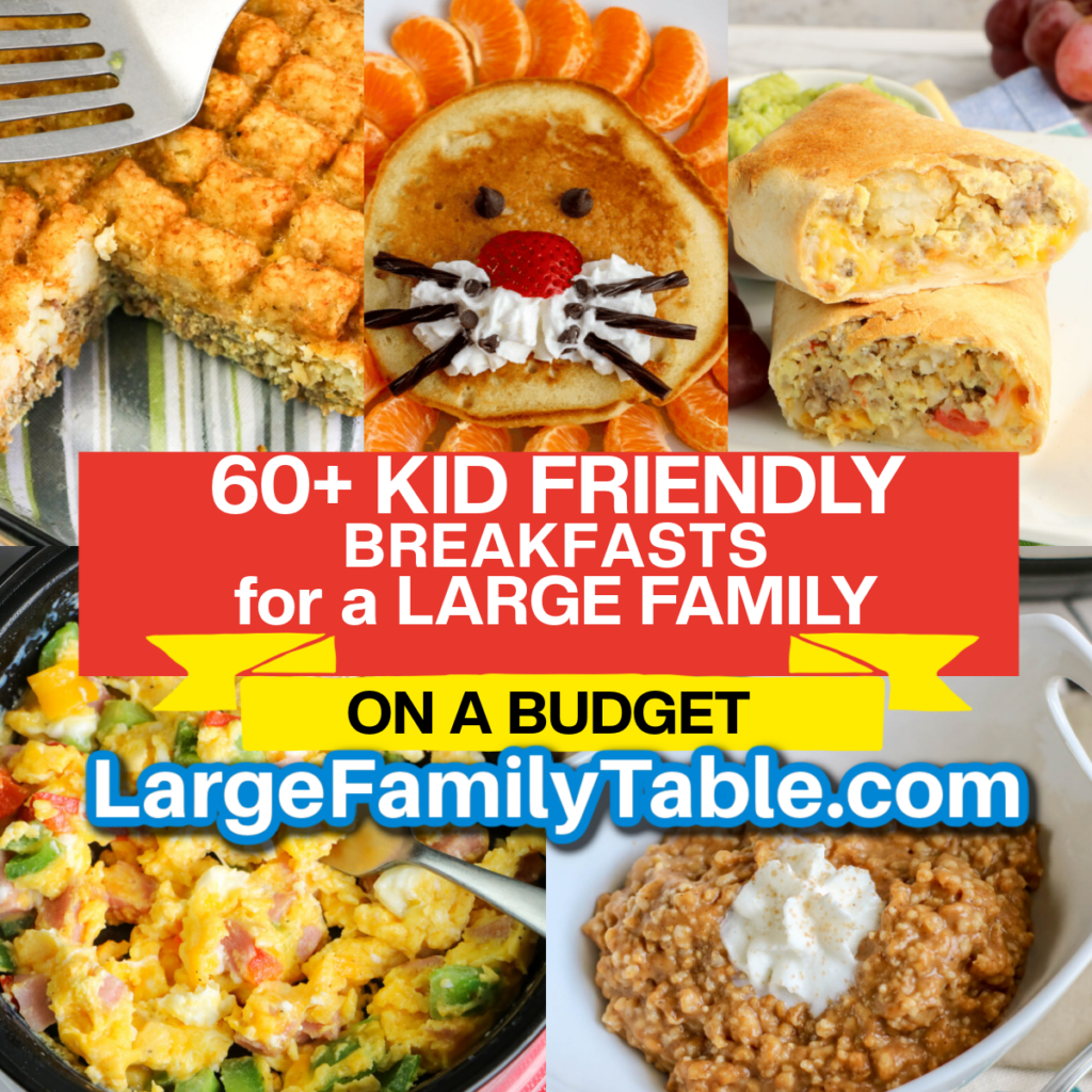 Kid Friendly Breakfasts for a Large Family on a Budget 