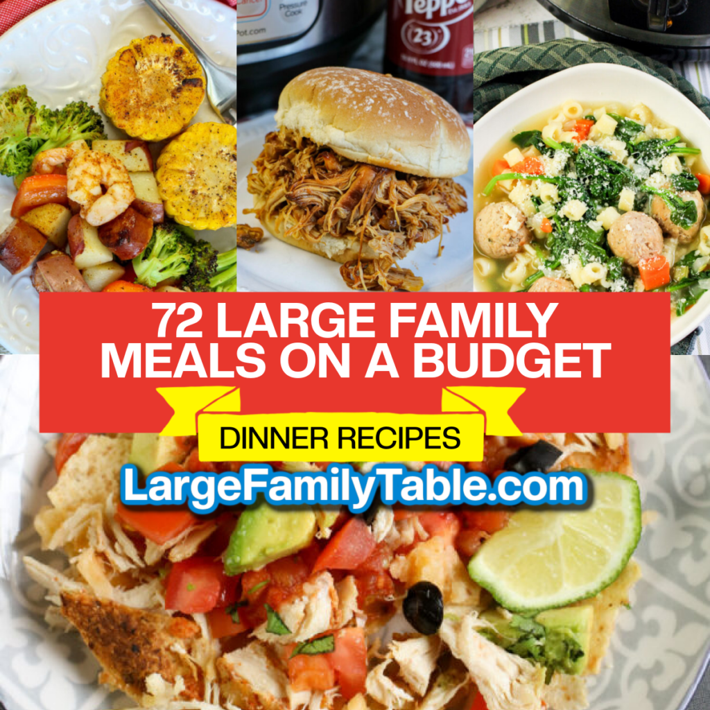 72 Large Family Meals on a Budget Dinner Recipes