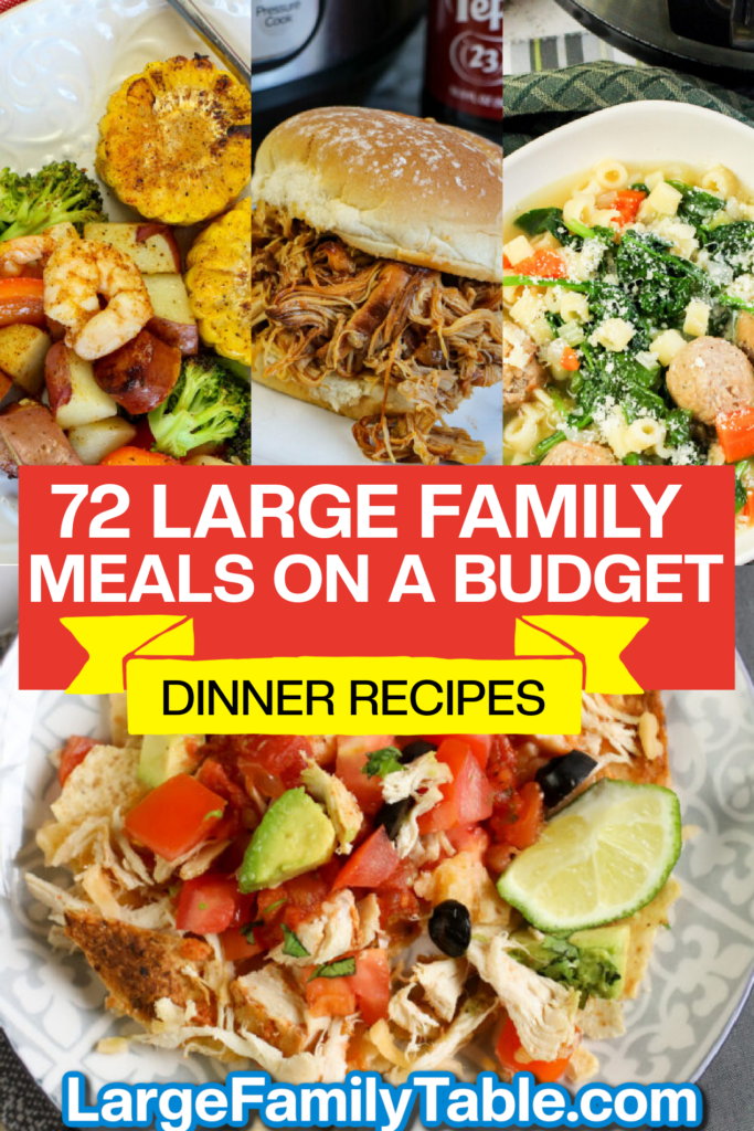 72 Large Family Meals on a Budget Dinner Recipes