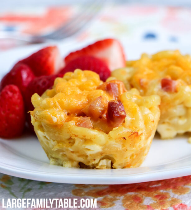 Large Family Ham and Cheese Macaroni Cups 
