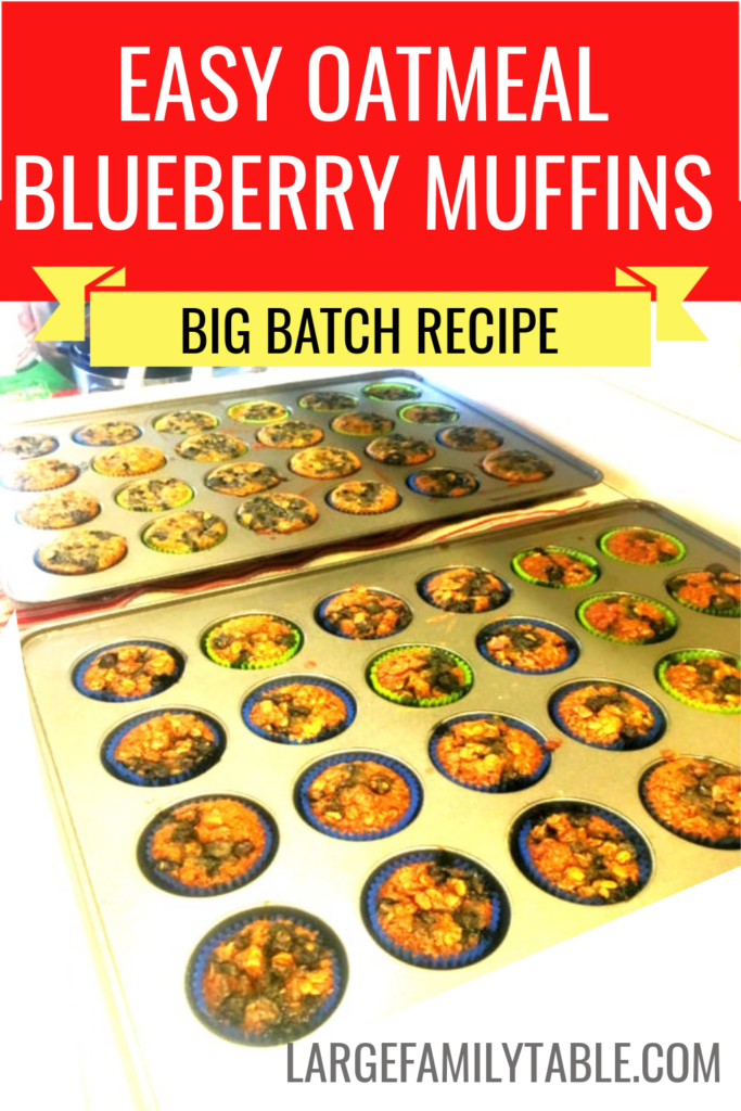 Blueberry Muffins in a muffin pan on the counter