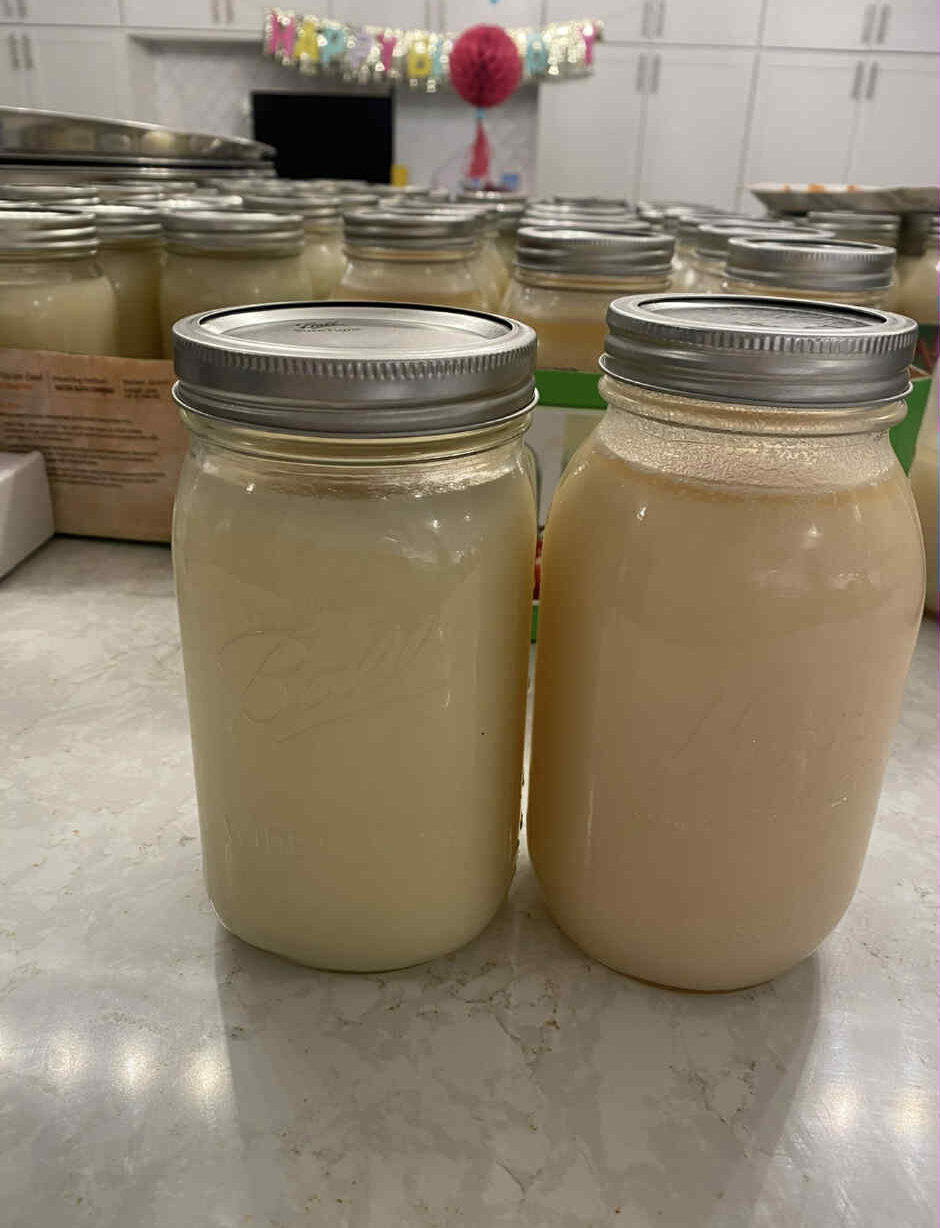 jars of homemade tallow on the counter
