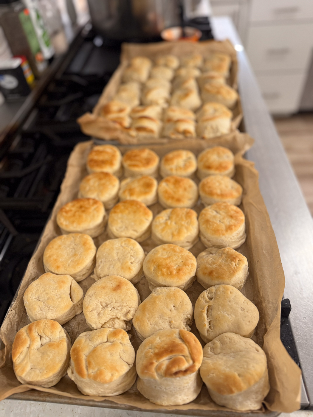 Large Batch Dairy-Free Biscuits