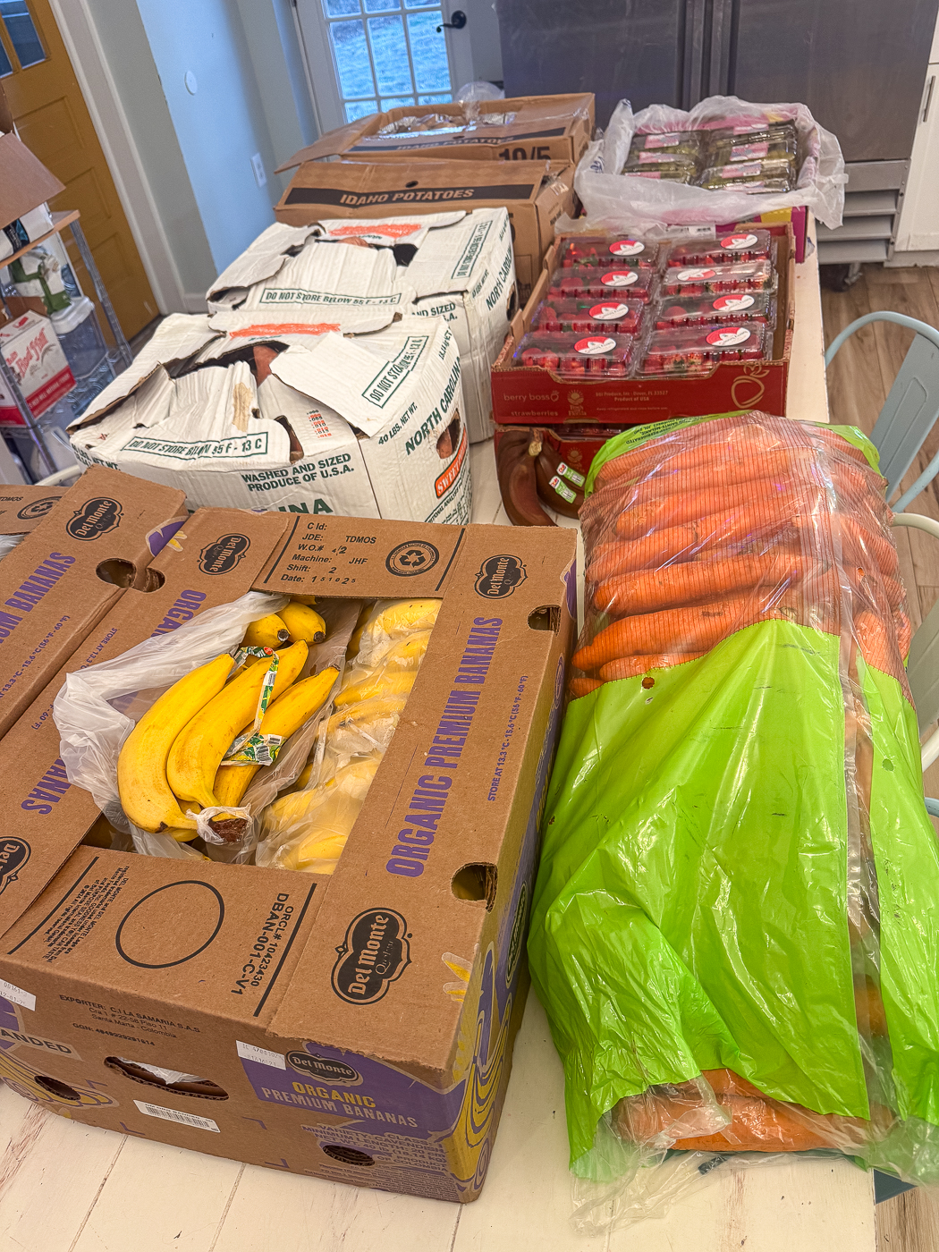 January 2026 Large Family Grocery Hauls Recap